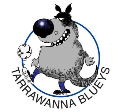 Tarrawanna Blueys