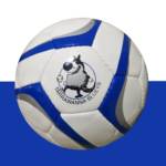 Custom Made Soccer Ball